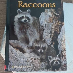 Raccoons Hardcover Book